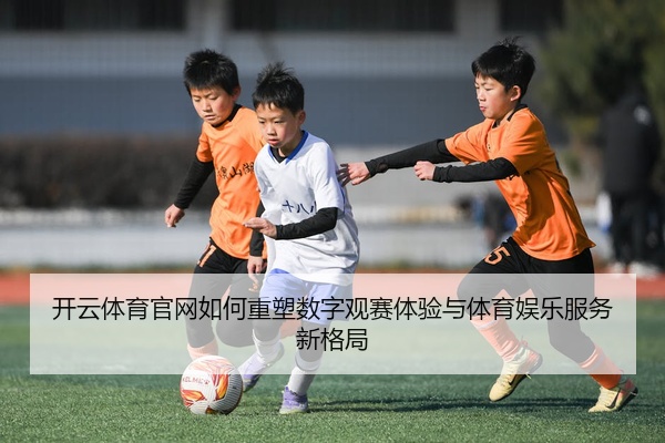 开云体育官网如何重塑数字观赛体验与体育娱乐服务新格局